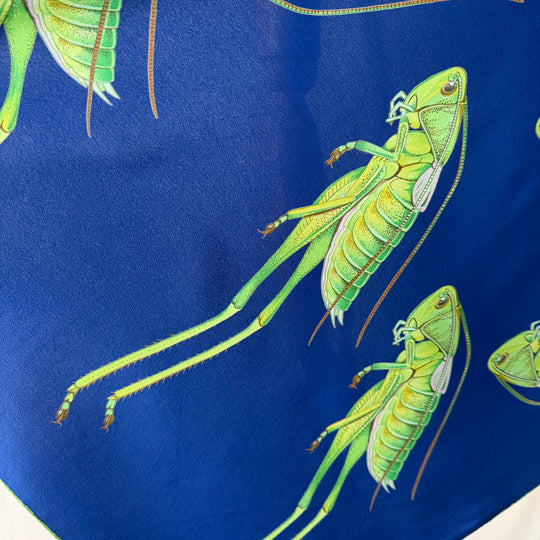 FABRIC FRONTLINE Silk Scarf