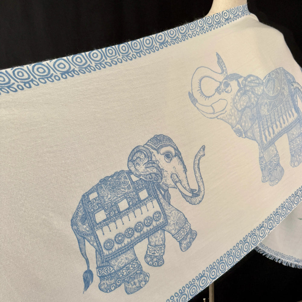 HEMISPHERE New Cashmere/Silk Scarf