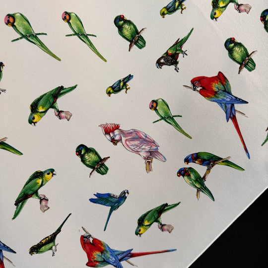 FABRIC FRONTLINE Silk Scarf