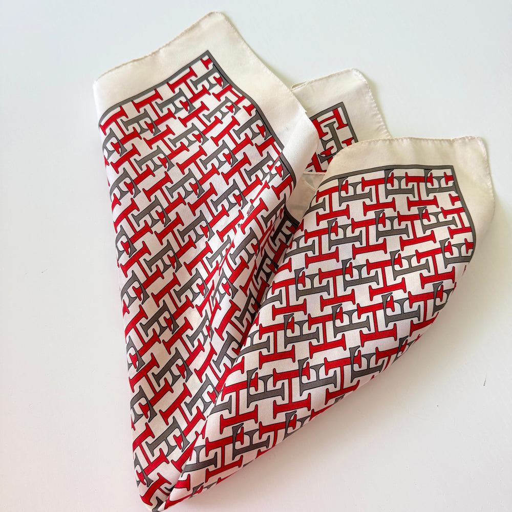 HEMISPHERE Silk Scarf