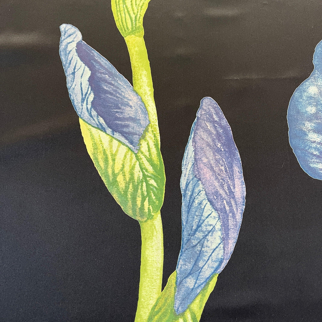 FABRIC FRONTLINE Seidenschal