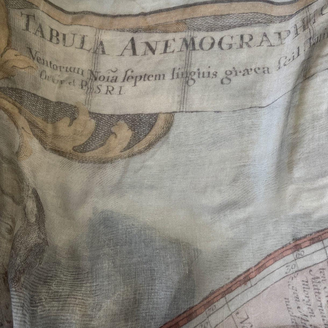 FALIERO SARTI - FALIERO SARTI Scarf - AVVIIVVA.COM