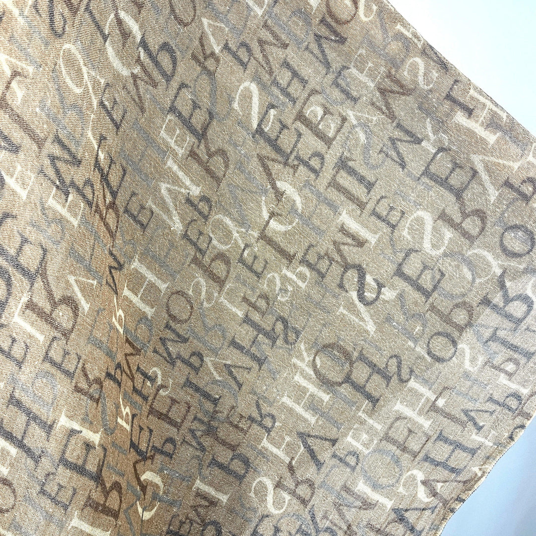 HEMISPHERE - HEMISPHERE New Scarf - AVVIIVVA.COM