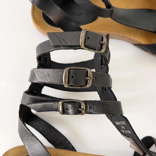 ZIGN - ZIGN Gladiators - AVVIIVVA.COM