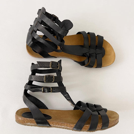 ZIGN - ZIGN Gladiators - AVVIIVVA.COM