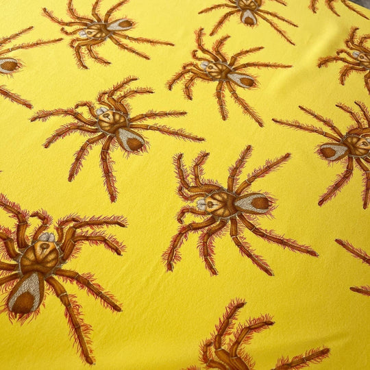 FABRIC FRONTLINE - FABRIC FRONTLINE Scarf - AVVIIVVA.COM